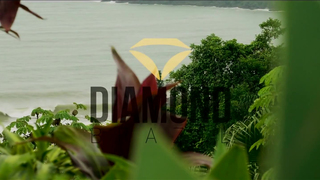 Diamond Brazil - Antonela