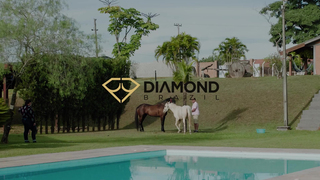 Gil Jung - Diamond Brazil