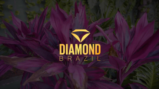 Diamond BRZ- Bruna Marques 1