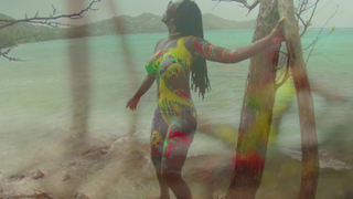 MEL ACTION PAINTING - S13-E4 TROPICAL COLOURS - SAPPHIRE BEACH, SAINT LUCIA