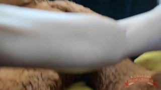 Bem pertinho