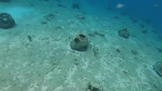 Dani Carmona Gostosinha como Sereia
