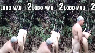 Lobo Mal e Aninha