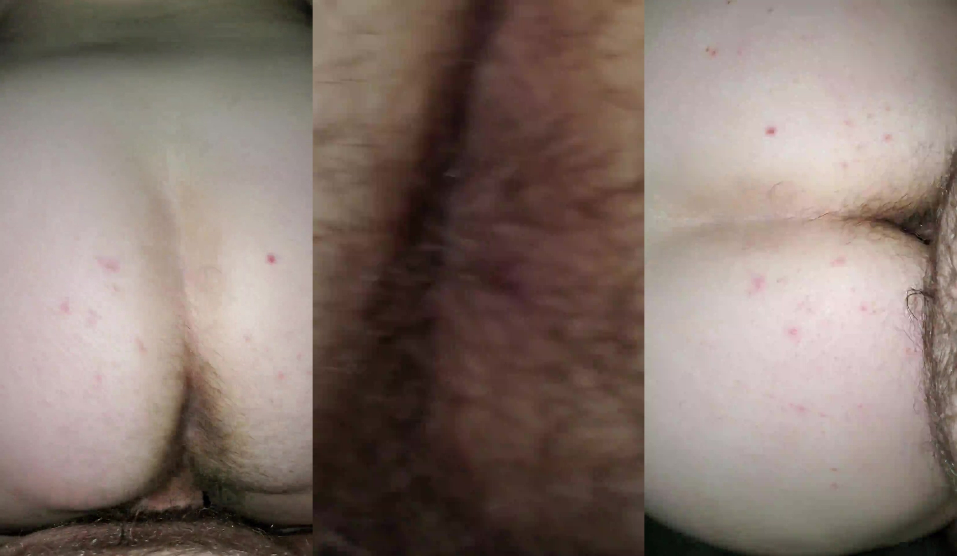 peluda 6