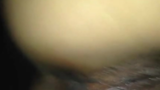 peluda 31