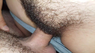 peluda 72