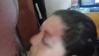 cuceta pauzudo