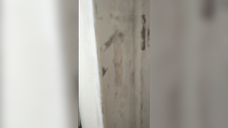 pedreiro botou a dona da obra pra sentar